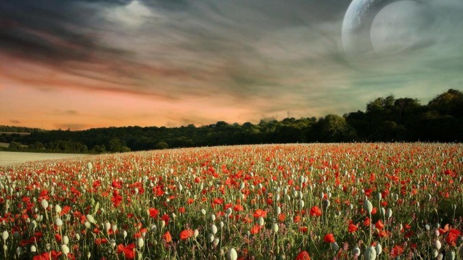 如何评价&ldquo;寡姐&rdquo;斯嘉丽&middot;约翰逊的身材？